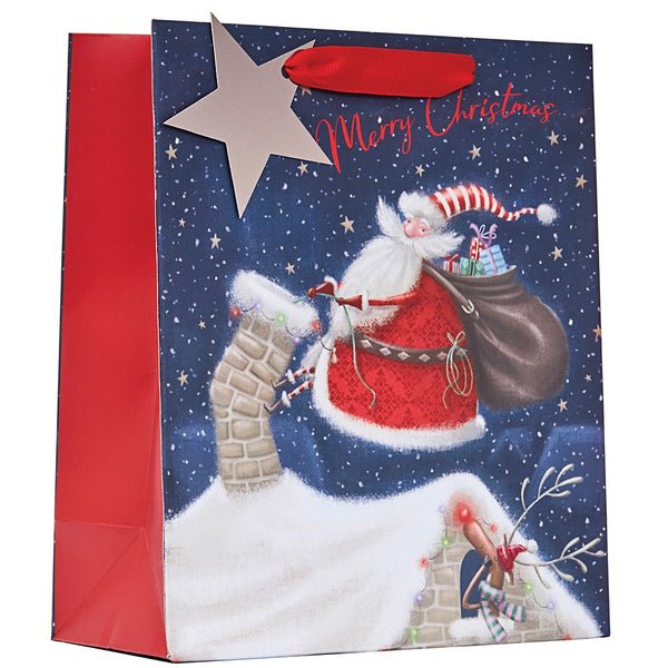 Christmas Jolly Santa Medium Gift Bag | Assorted Designs, Reusable