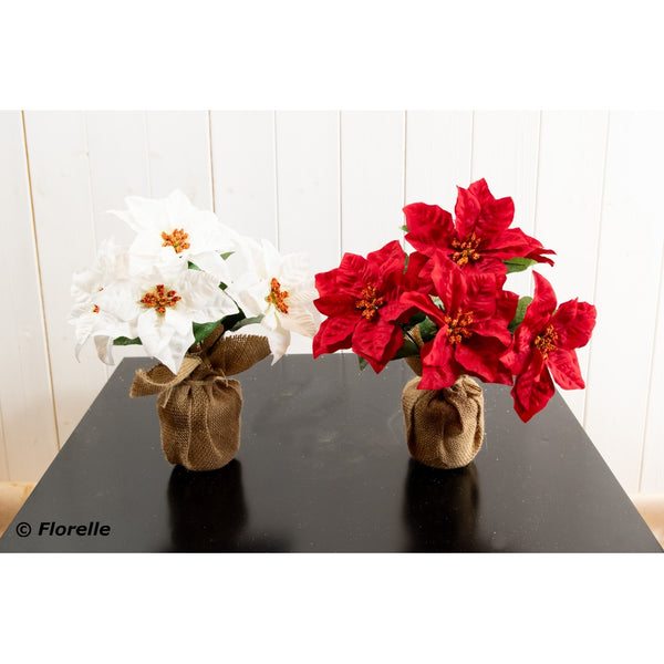 Christmas Poinsettia In Burlap - Set of 5 - 28cm