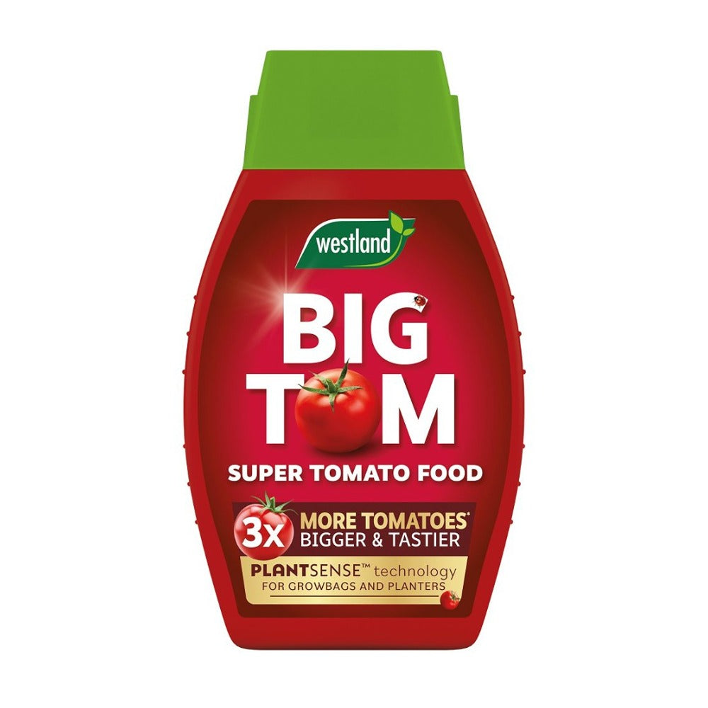 Westland Big Tom Tomato Plant Food | 1L, PlantSense Formula, for Growbags