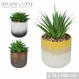 Urban Living Artificial Succulent in Gradient Ceramic Pot | 20cm