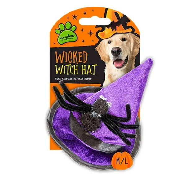 Kingdom Halloween Pet Witches Hat 