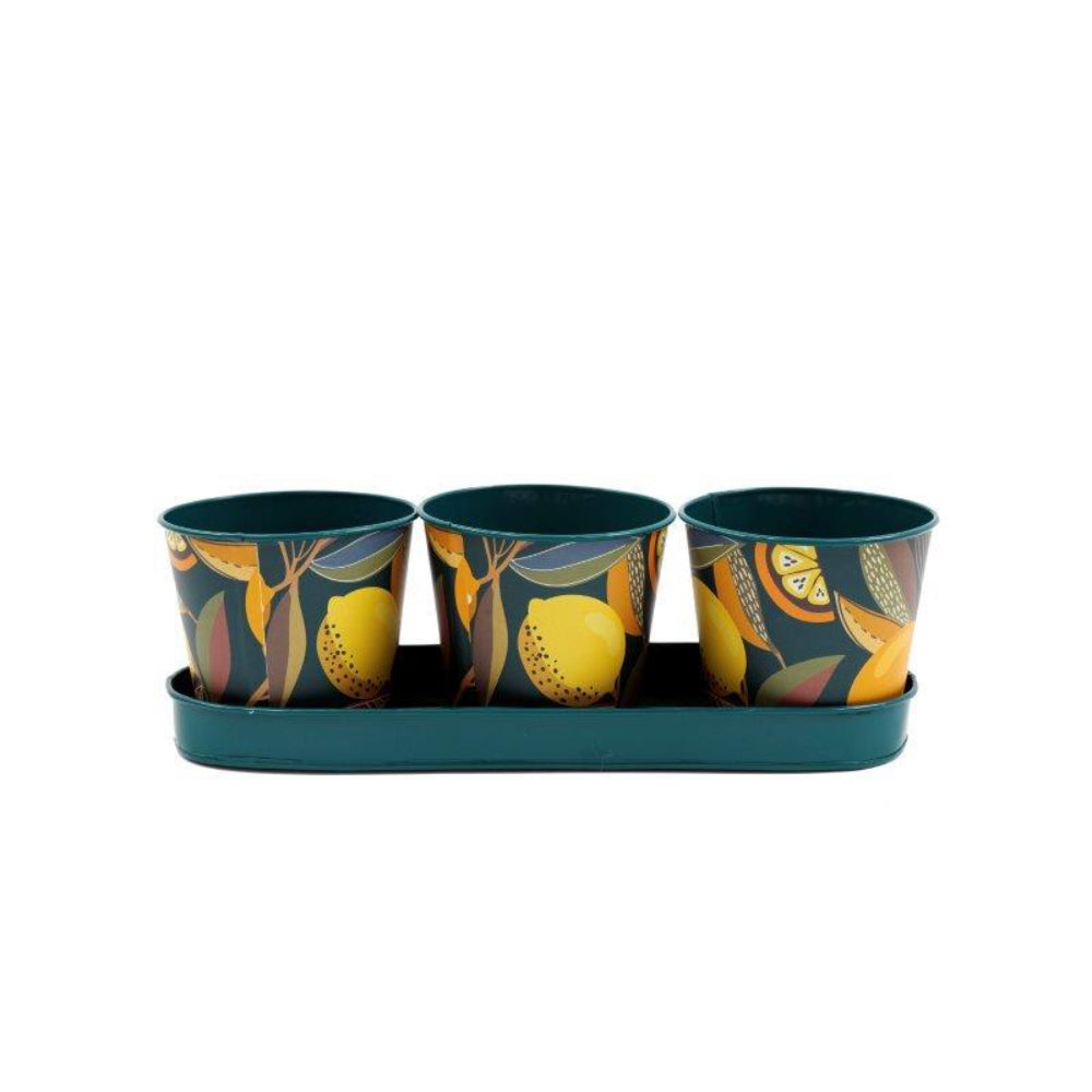 Citrus-Themed Decorative Planter Pots and Tray Set | Set of 3