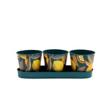Citrus-Themed Decorative Planter Pots and Tray Set | Set of 3