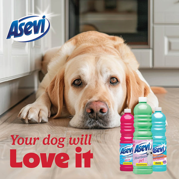 Asevi Floor Cleaner Ph Neutro | Ph Neutral Formula | 1L