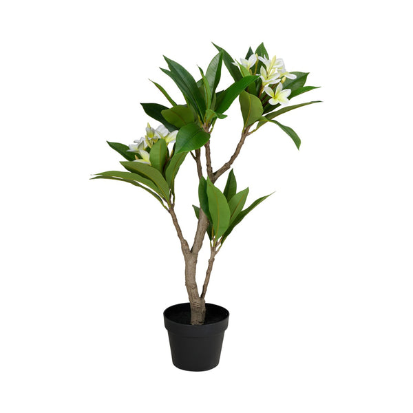 Home Decor Artificial Frangipani Tree in Pot | 90cm, White Flowers