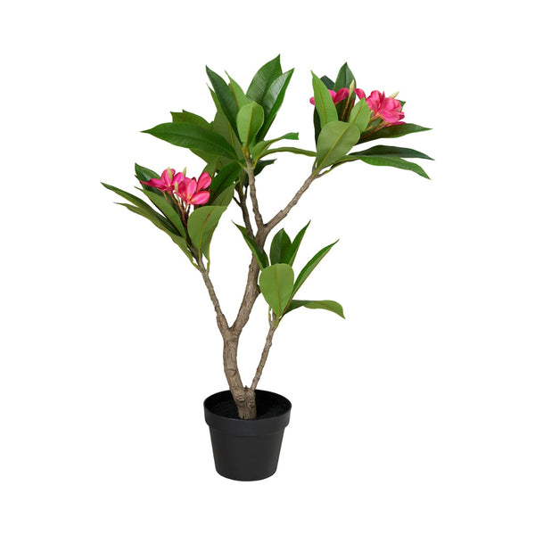 Home Decor Artificial Frangipani Tree | Pink, 90cm, Black Pot