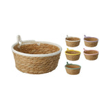 Home Decor Woven Storage Basket with Coloured Rim | 18cm, Assorted Colours