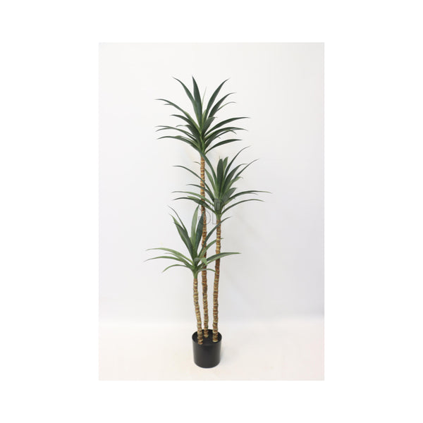 Home Decor Artificial Yucca Tree Plant | 180cm, Multi-Stem, Green