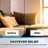 Daewoo 2 in 1 Bladeless Tower Fan and Purifier | Remote Control, Timer