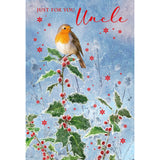 Watermark Christmas Card Robin on Frosty Branch | Uncle Design