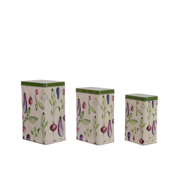 Decoris Veg and Fig Botanical Storage Tins Set | Pack of 3, Stackable