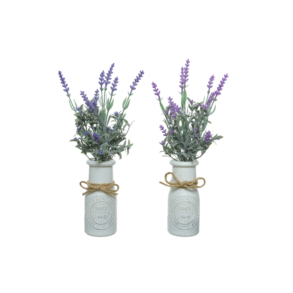 Decoris Artificial Lavender in Milk Bottle Pot | 32cm, White, Assorted