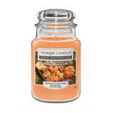 Yankee Candle Pumpkin Harvest Large Jar Candle | 538g, Orange Wax