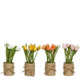 Assorted Potted Artificial Tulip Decoration | 4 Colours, Burlap Pot