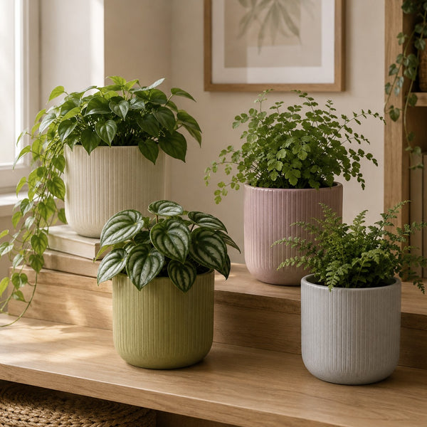 Iwan Ribbed Ceramic Indoor Plant Pot | Assorted Colours, Speckled Glaze