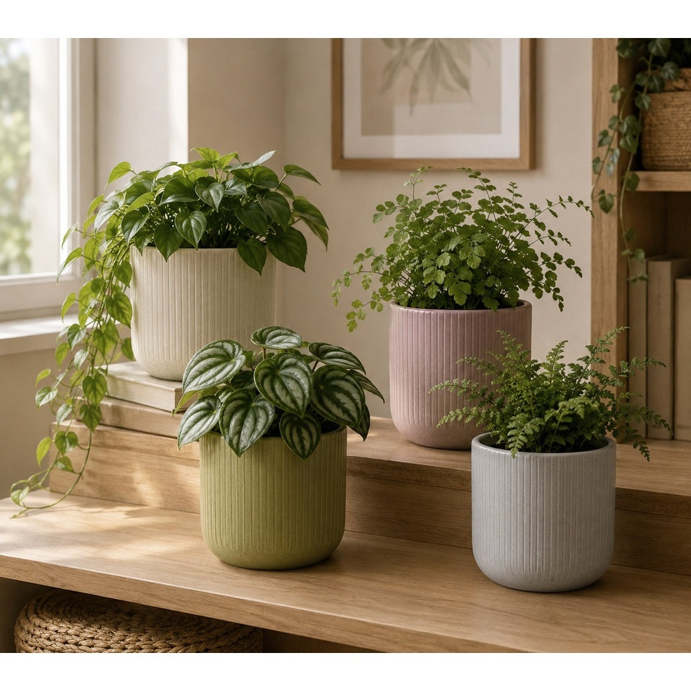 Iwan Ribbed Ceramic Indoor Plant Pot - Assorted Colours