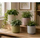 Iwan Ribbed Ceramic Indoor Plant Pot - Assorted Colours