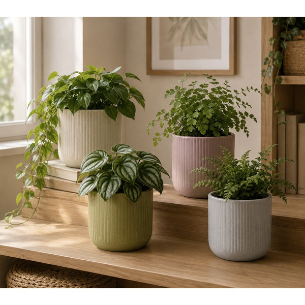 Iwan Ribbed Ceramic Indoor Plant Pot - Assorted Colours