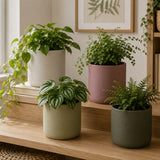 Era Round Ceramic Plant Pot | 4 Assorted Colours, Matte Finish