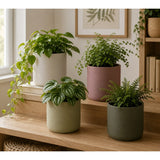 Era Round Ceramic Plant Pot | Assorted Colours, Matte Finish