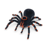 Toy Hub Remote Control Tarantula Toy | Spider Toy, Remote Control