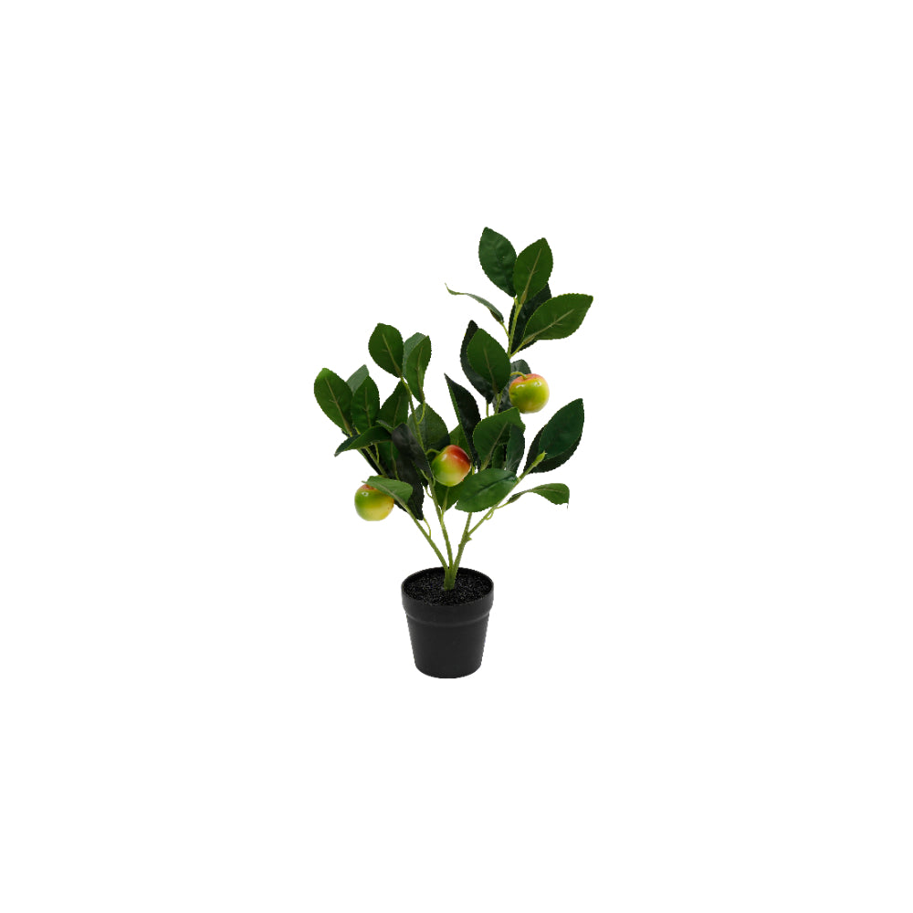 Artificial Apple Tree Faux Plant for Home Decor | 40cm Height