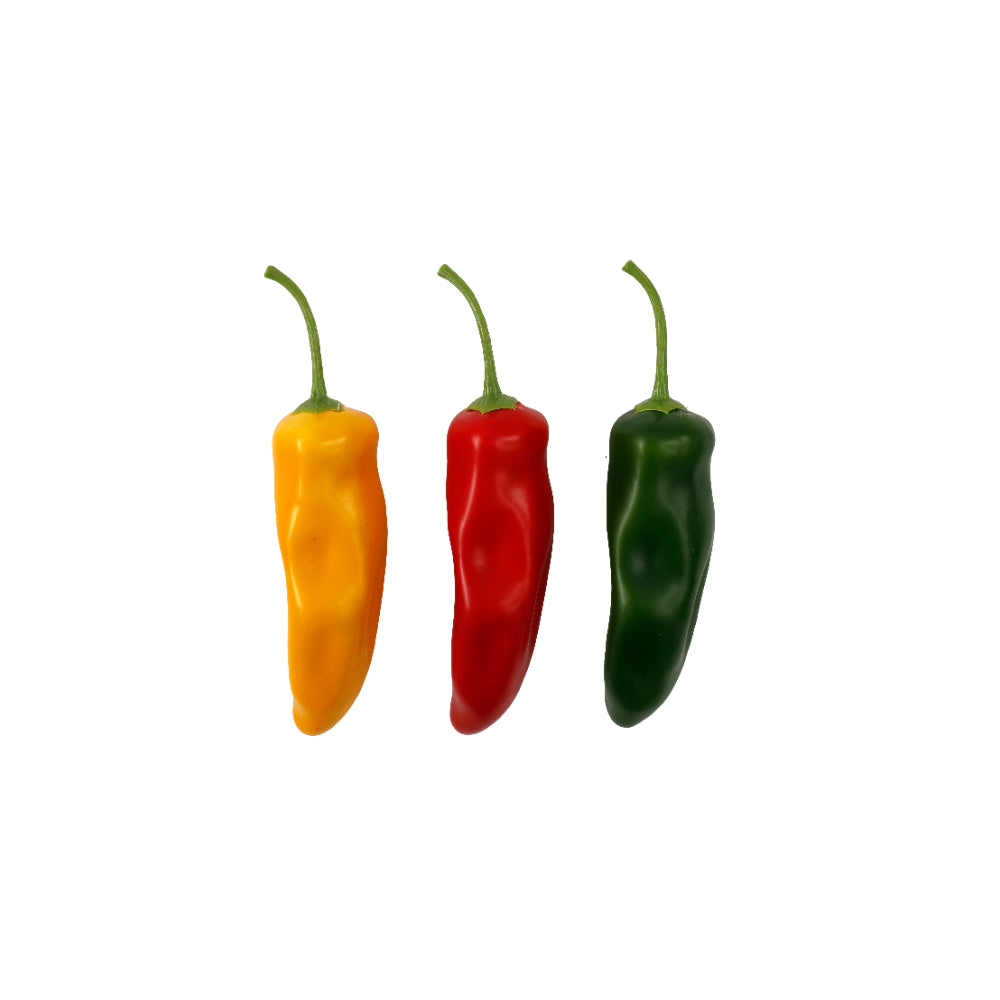 Cuban Pepper Decorative Display Ornament Decoration | 15.2 x 3.1cm