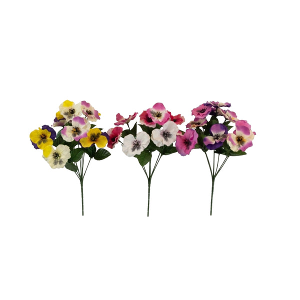 Pansy Bush 3 Cols | 3 Assorted Colours