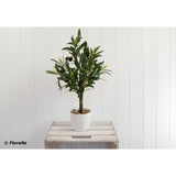 Olive Tree In Pot - Faux Plant - 48cm
