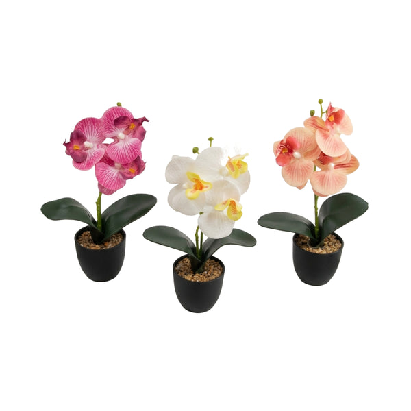 Faux Plants & Trees Orchid In Pot 3 Cols | 3 Assorted Colours