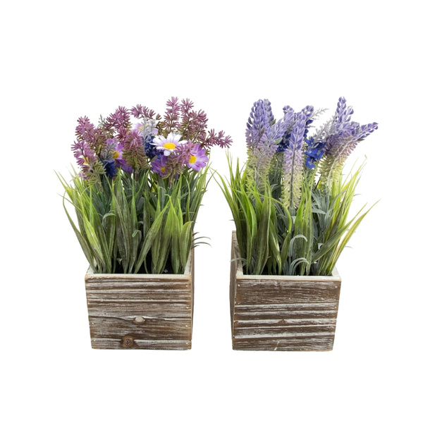 Lavender In Wooden Pot | Assorted Designs