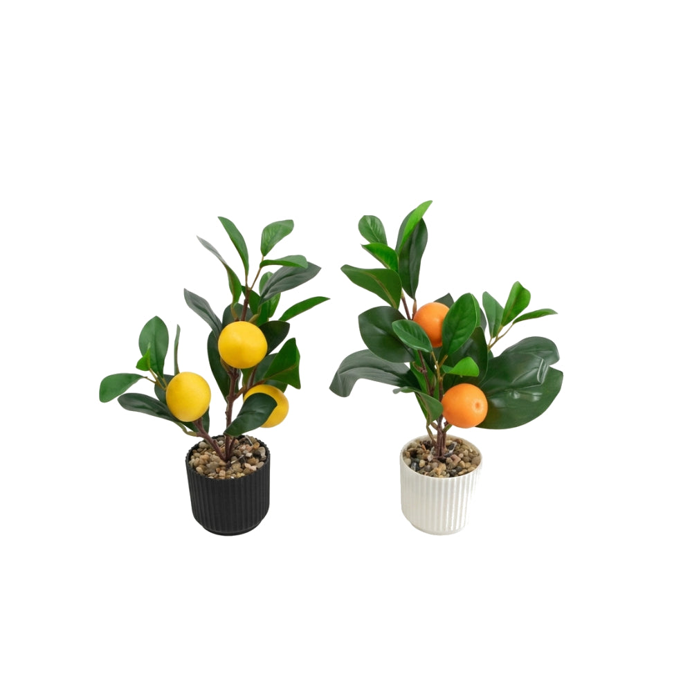 Faux Plants & Trees Lemon And Orange In Pot