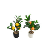 Faux Plants & Trees Lemon And Orange In Pot