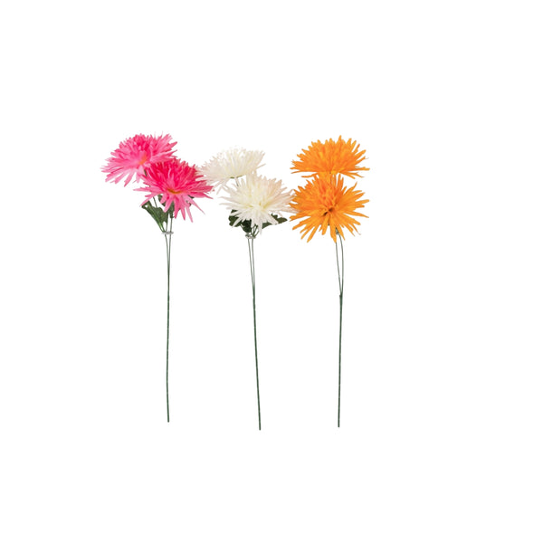 Spiky Mum 3 Cols | 3 Assorted Colours