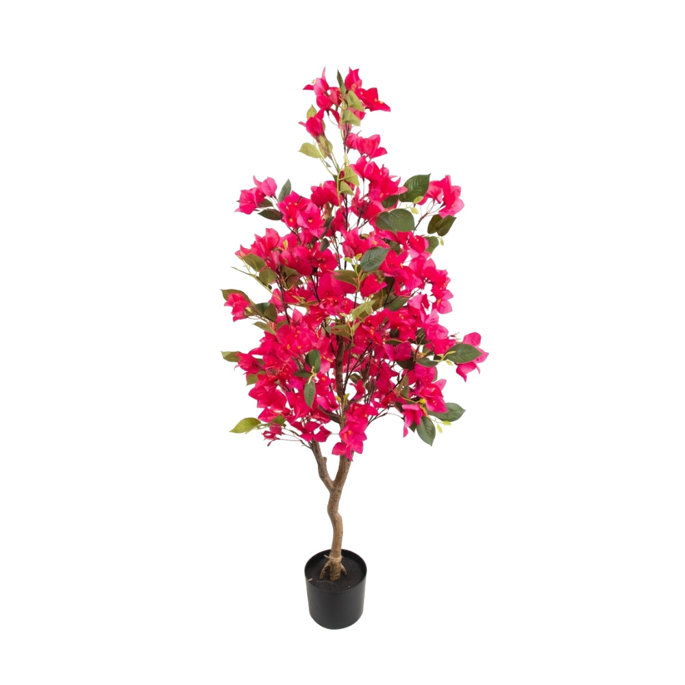 Bougainvillea Tree In Pot 120Cm | Faux