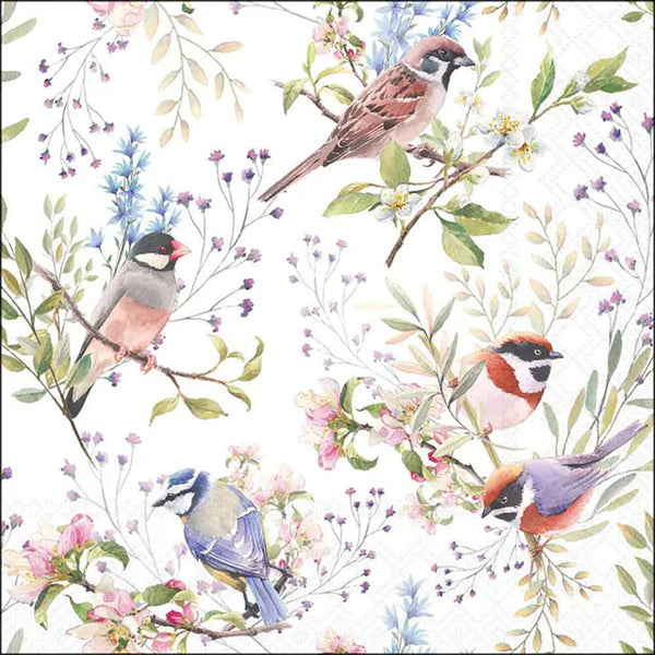 Ambiente Busy Birds Paper Napkins | Watercolour Songbirds, Pastel Florals
