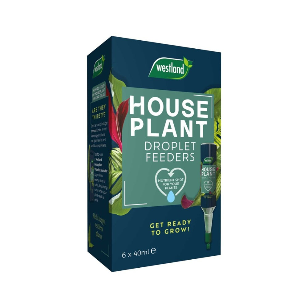Westland Houseplant Droplet Feeders | Ready to Use, Pack of 6, 40ml