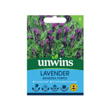 Bandera Deep Purple Lavender Seeds