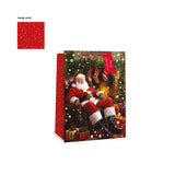 Festive Wonderland Traditional Santa Christmas Gift Bag | Large