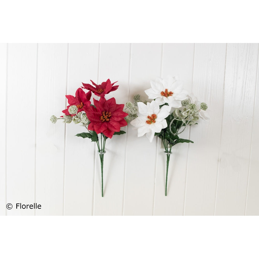 Christmas Snow Thistle/Poinsettia Bush - Assorted Colours