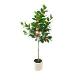 Orange Tree In White Pot | Faux