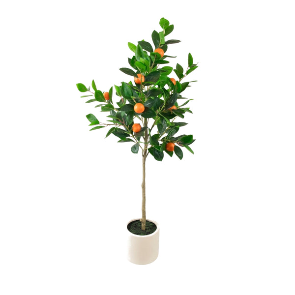 Orange Tree In White Pot | Faux
