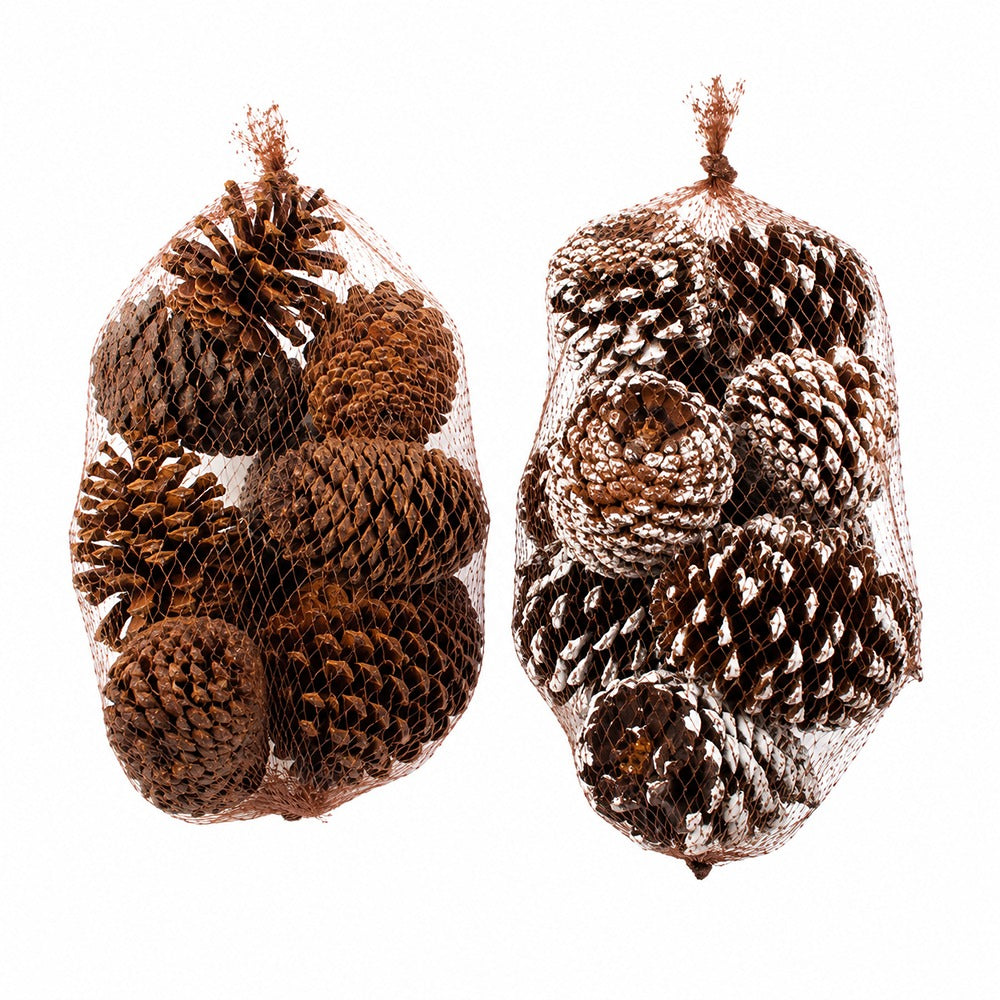 Natural Scented Pine Cone Decorations - Pack of 9, Assorted Designs