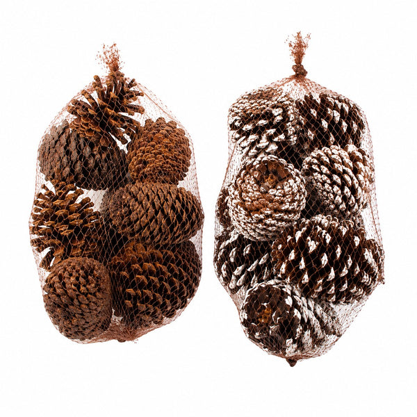 Natural Scented Pine Cone Decorations - Pack of 9, Assorted Designs
