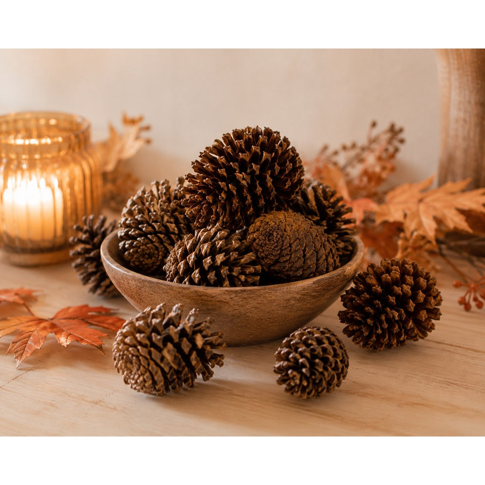 Natural Scented Pine Cone Decorations - Pack of 9, Assorted Designs