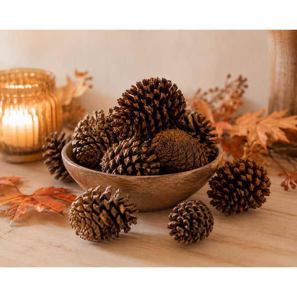 Natural Scented Pine Cone Decorations - Pack of 9, Assorted Designs