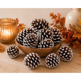 Natural Scented Pine Cone Decorations - Pack of 9, Assorted Designs