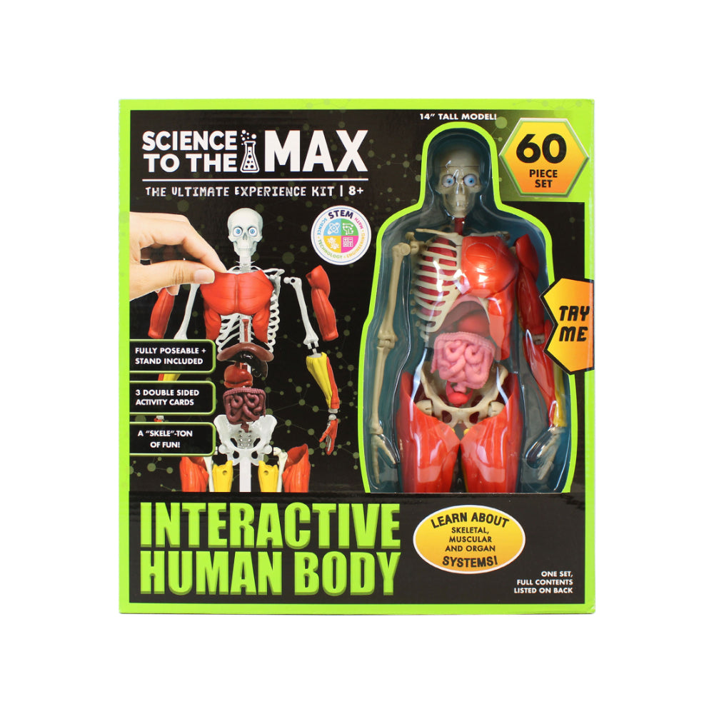 Science to the Max Interactive Human Body Science Kit - 14-Inch, 60 Pieces