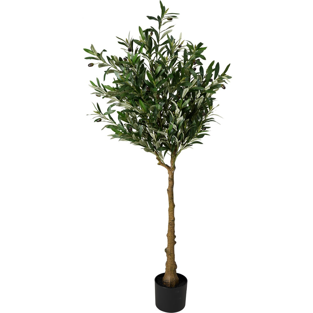 Olive Tree In Pot - Faux Plant - H155cm