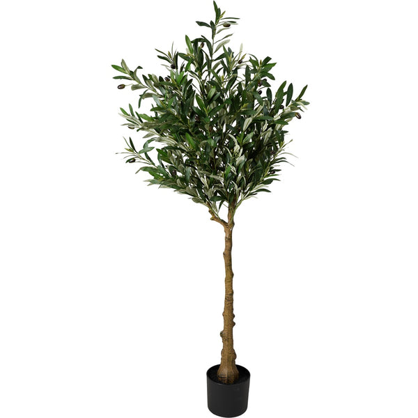Olive Tree In Pot - Faux Plant - H155cm